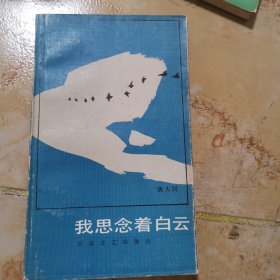 我思念着白云