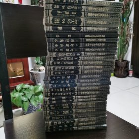 温瑞安武侠小说精品（28册合售）