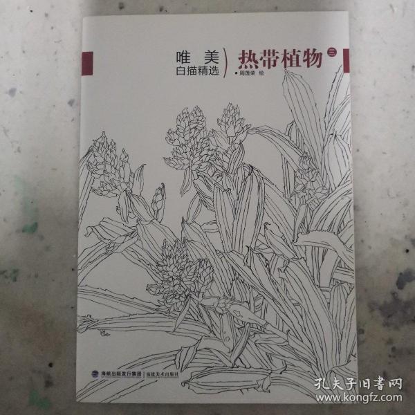 热带植物（3）