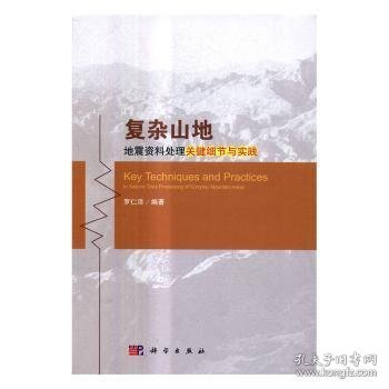 复杂山地地震资料处理关键细节与实践