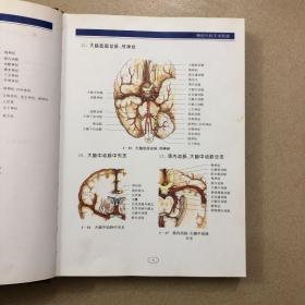 神经外科手术图谱