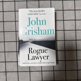 Rogue Lawyer