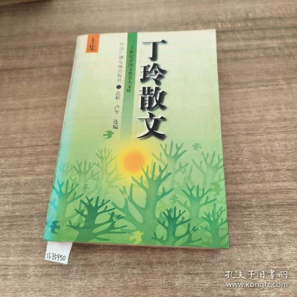 丁玲散文(上下)