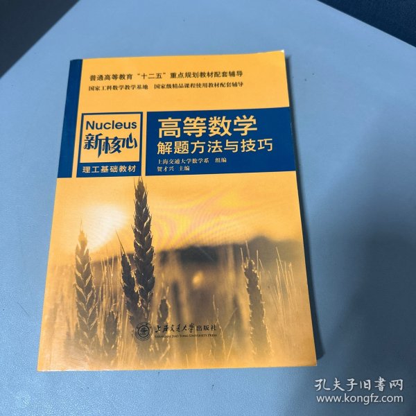 高等数学解题方法与技巧/新核心理工基础教材