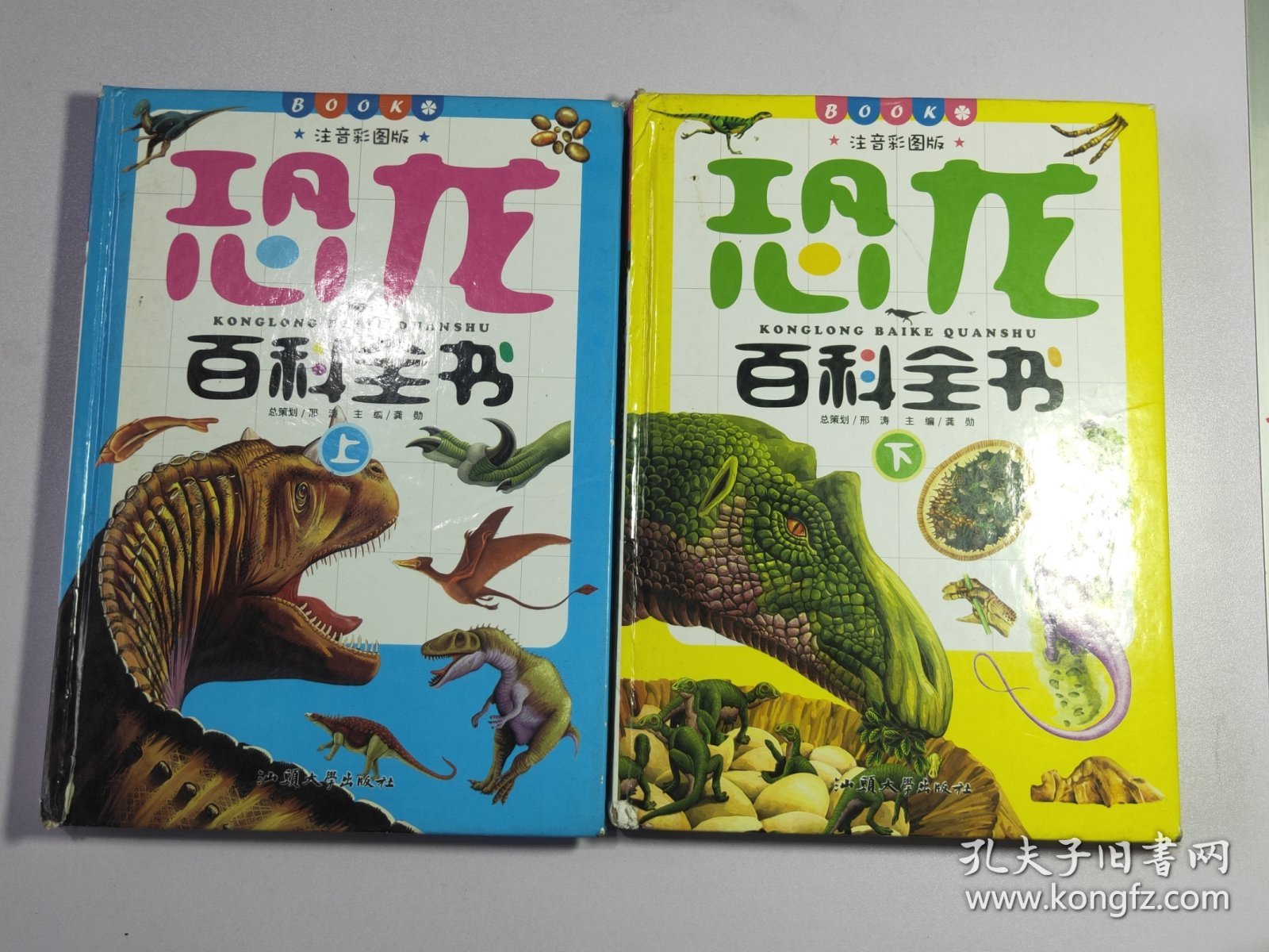 恐龙百科全书31052