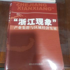 “浙江现象”产业集群与区域经济发展