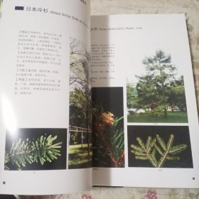 精美全彩画册：青岛园林树木图谱