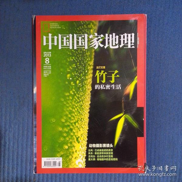 期刊杂志：中国国家地理2013年第8期总634期：竹子/台风/古戏台/动物摄影黑镜头，书品如图