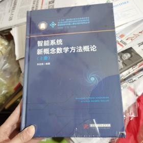 智能系统新概念数学方法概论：上下册