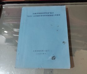 白秧坪铜银铅锌钴矿集区下区五一东至岩矿段电法试验勘察工作报告（铅印单面印）