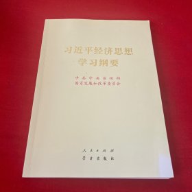 习近平经济思想学习纲要（16开）