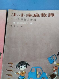 小小家庭教师 找图画2 种种图案 两本