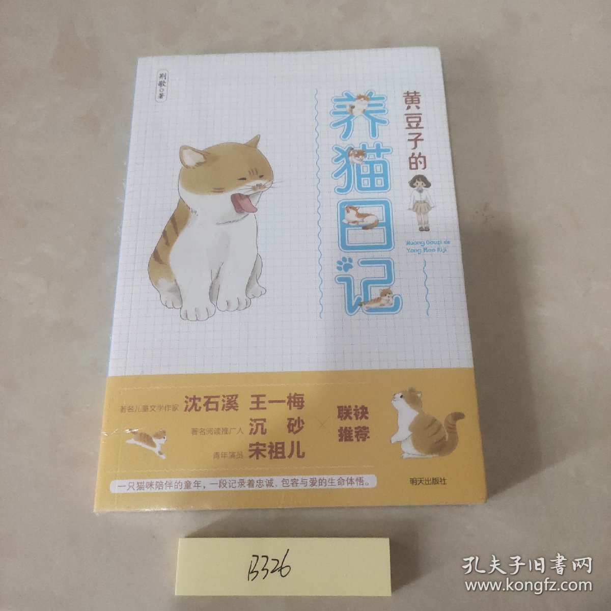 黄豆子的养猫日记