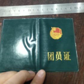 华中师范大学共青团团员证