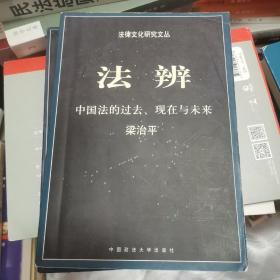 法辨：中国法的过去、现在与未来