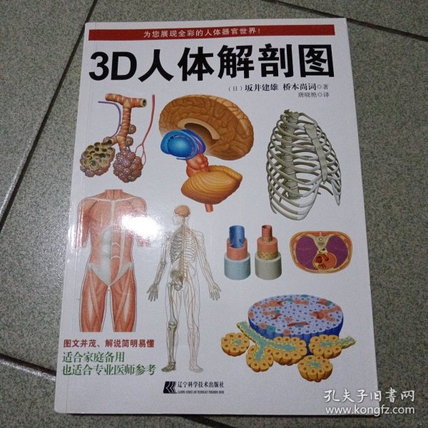 3D人体解剖图