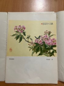 蜀中名胜第一集共12张