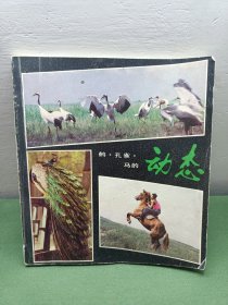 鹤·孔雀·马的动态