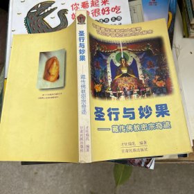 圣行与妙果：藏传佛教密宗奇迹