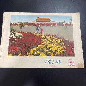 工农兵画报1974年 总229期
