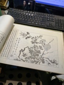 一品堂画谱（梅兰竹菊 本）