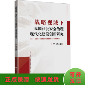 战略视域下我国社会安全治理现代化建设创新研究