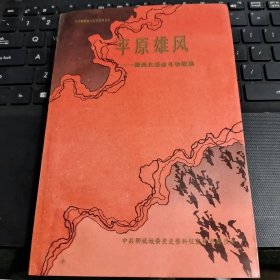 平原雄风－鲁西北革命斗争故事/CH22