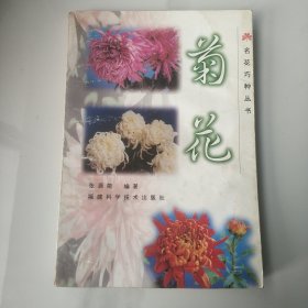 名花巧种丛书-菊花