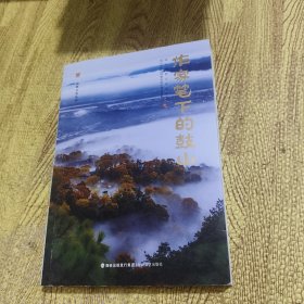 作家笔下的鼓山