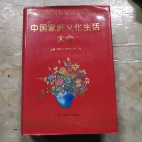 中国家庭文化生活大全