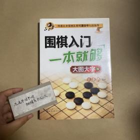 围棋入门一本就够：大图大字版