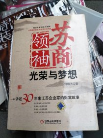 苏商领袖：光荣与梦想:讲述30年来江苏企业家的财富故事