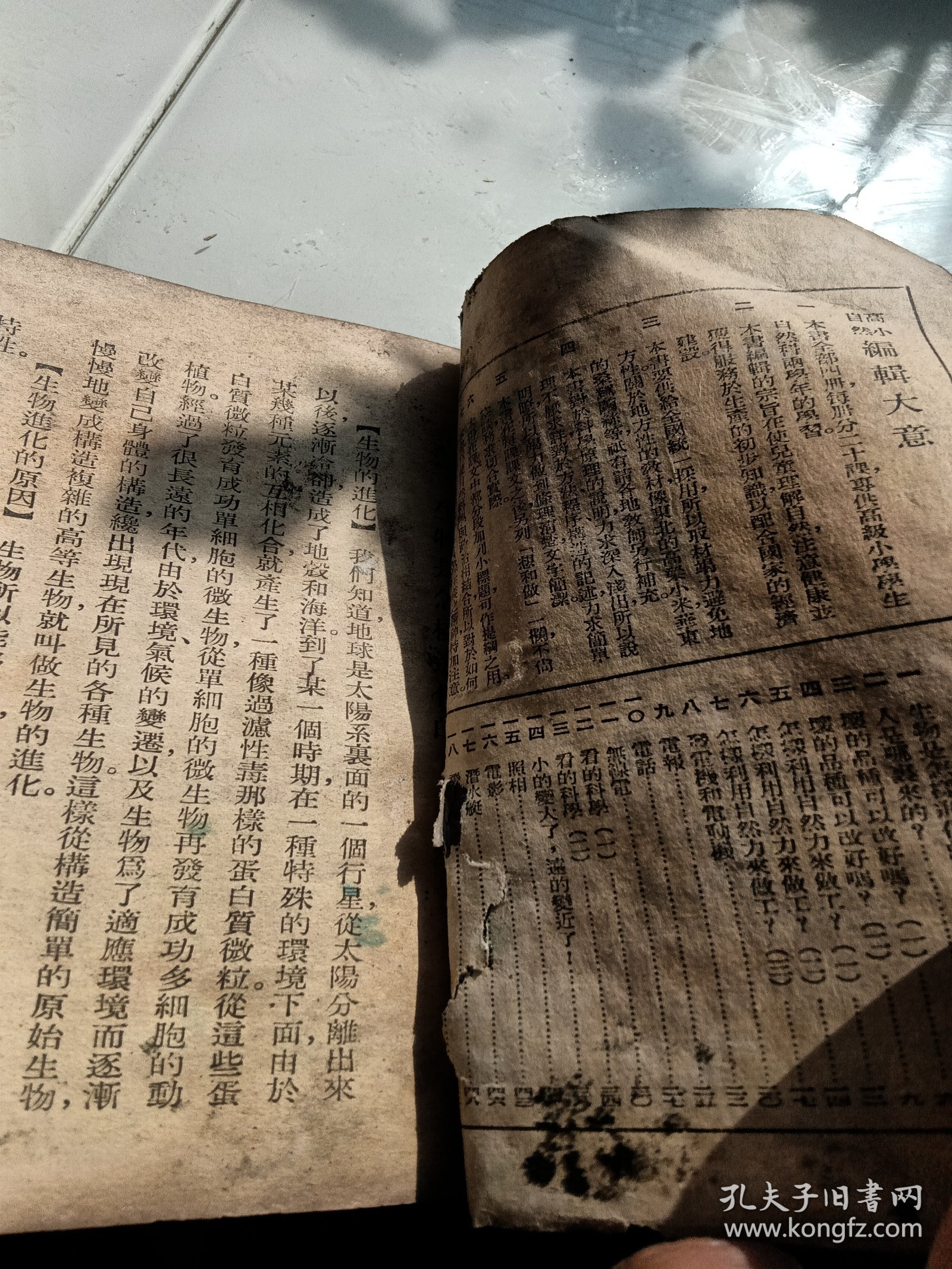 高级小学自然课本，第四册，外皮有折痕有污垢有破损，1951年济南，看图免争义