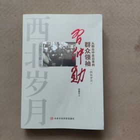 从群众中走出来的群众 领袖习仲勋