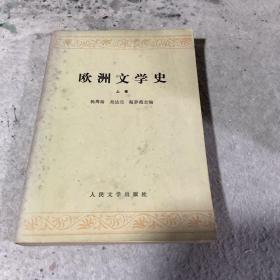 欧洲文学史（上卷）