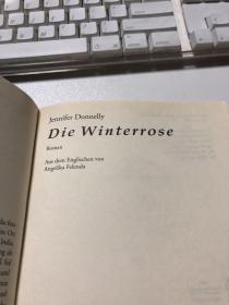 Die Winterrose