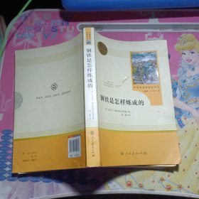 统编语文教材配套阅读 八年级下：钢铁是怎样炼成的/名著阅读课程化丛书