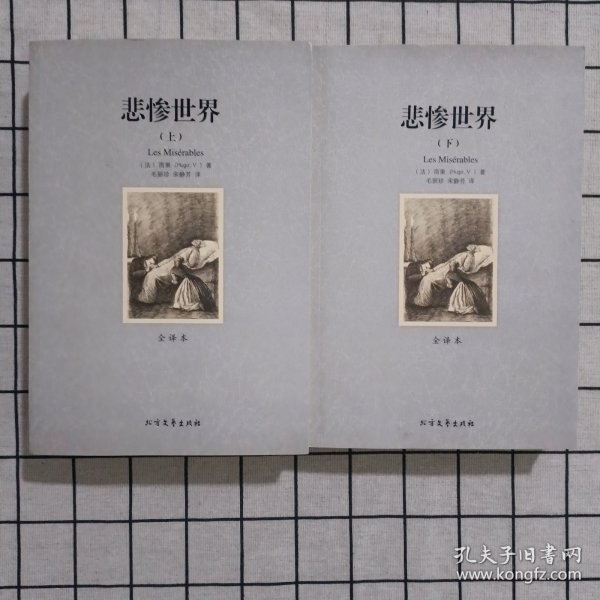 世界文学名著:悲惨世界(全译本)(套装共2册)