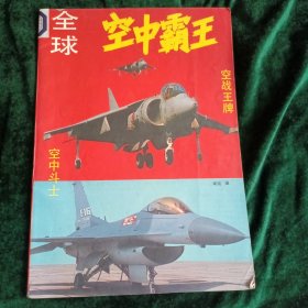 全球空中霸王