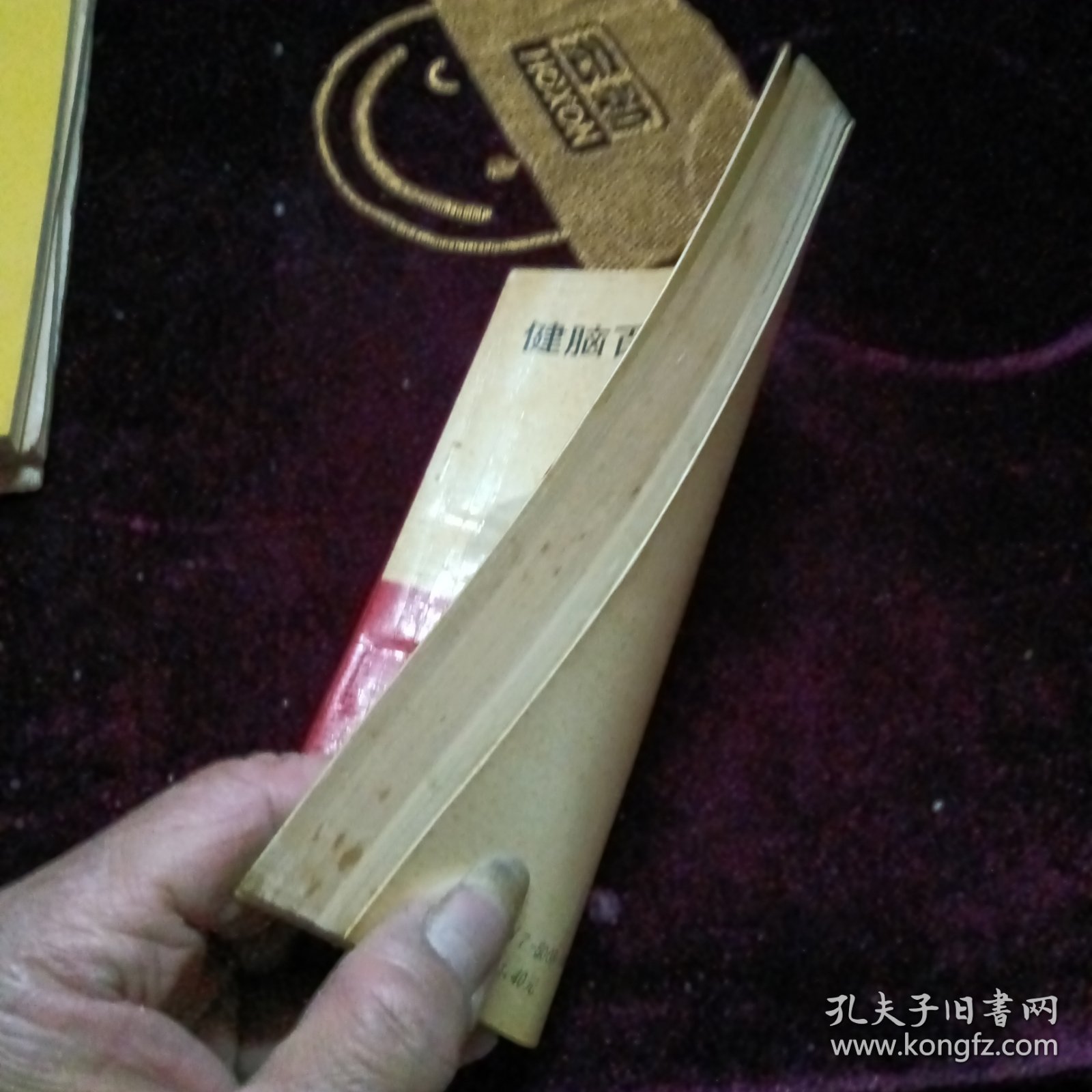 健脑百科知识