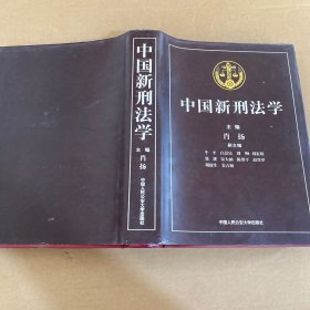 中国新刑法学