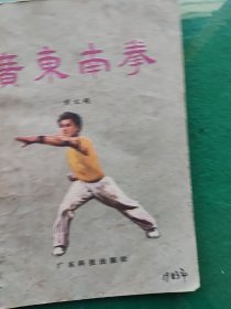 广东南拳