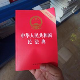 中华人民共和国民法典（32开压纹烫金附草案说明）2020年6月