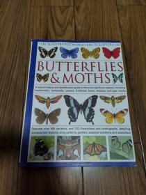 The Illustrated World Encyclopedia of Butterflies and Moths