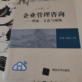 企业管理咨询——理论、方法与演练