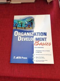 ORGANIZATION DEVELOPMENT BASICS