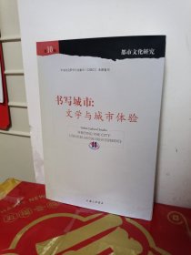 书写城市 :