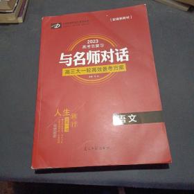 2023高考总复习与名师对话，高三大一轮高效备考方案：语文