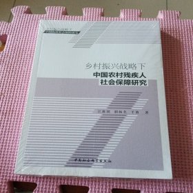 乡村振兴战略下中国农村残疾人社会保障研究