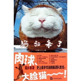 猫叔来了 【正版九新】